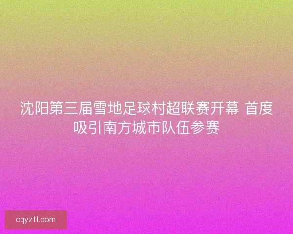 沈阳第三届雪地足球村超联赛开幕 首度吸引南方城市队伍参赛