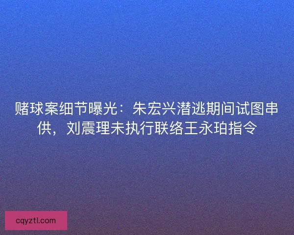 赌球案细节曝光：朱宏兴潜逃期间试图串供，刘震理未执行联络王永珀指令