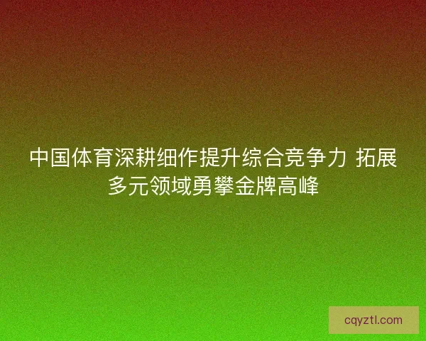 中国体育深耕细作提升综合竞争力 拓展多元领域勇攀金牌高峰