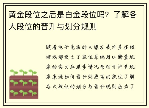 黄金段位之后是白金段位吗?了解各大段位的晋升与划分规则